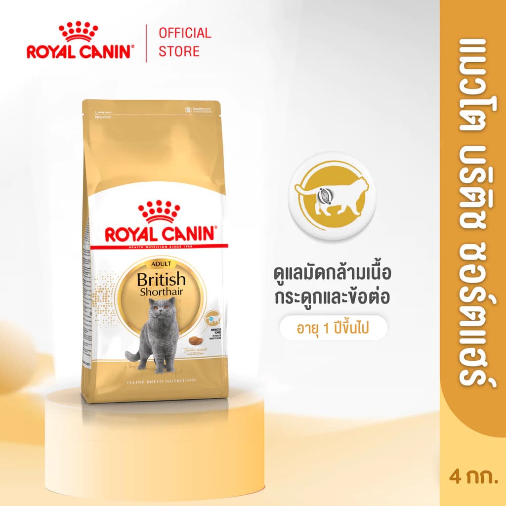 Royal Canin British Shorthair Adult 4kg อาหารเม็ดแมวโต พันธุ์บริติช ชอร์ทแฮร์ อายุ 12 เดือนขึ้นไป (โรยัล คานิน)
