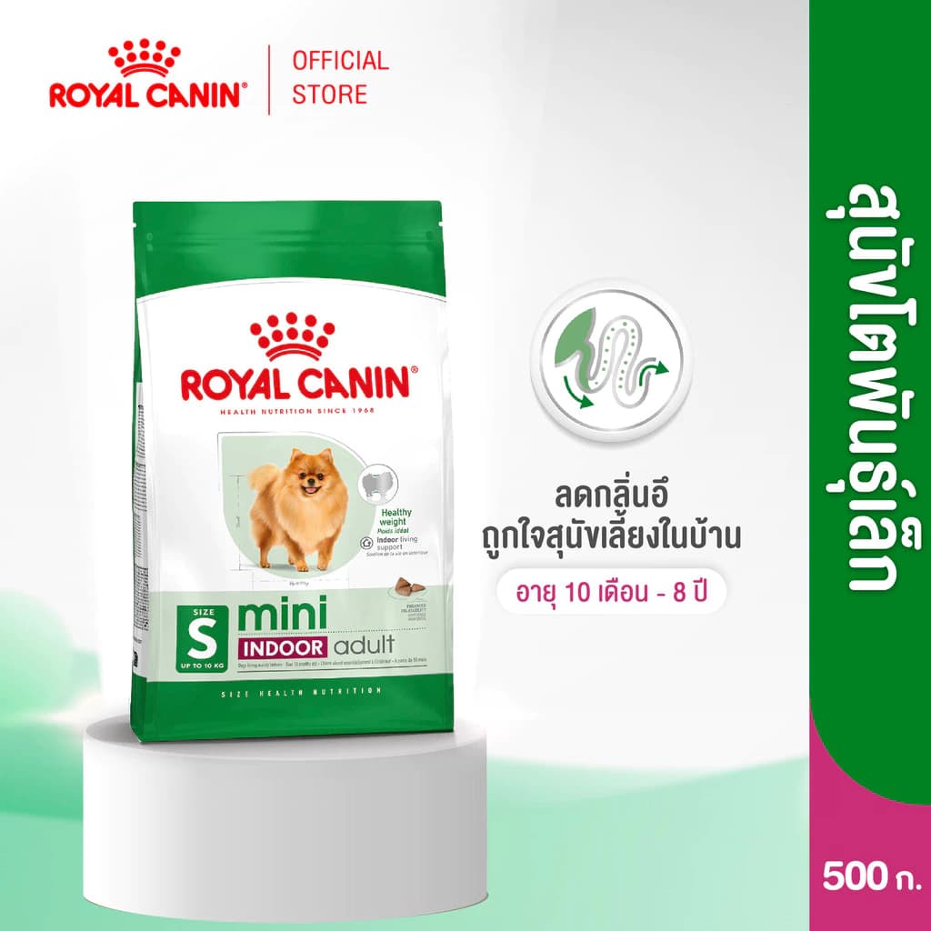 Royal Canin Mini Indoor Adult 500g อาหารเม็ดสุนัขโต พันธุ์เล็ก เลี้ยงในบ้าน อายุ10เดือน-8ปี (Dry Dog Food, โรยัล คานิน)