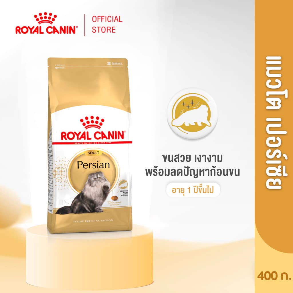Royal Canin Persian Adult 400g อาหารเม็ดแมวโต พันธุ์เปอร์เซียน อายุ 12 เดือนขึ้นไป (Dry Cat Food, โรยัล คานิน)