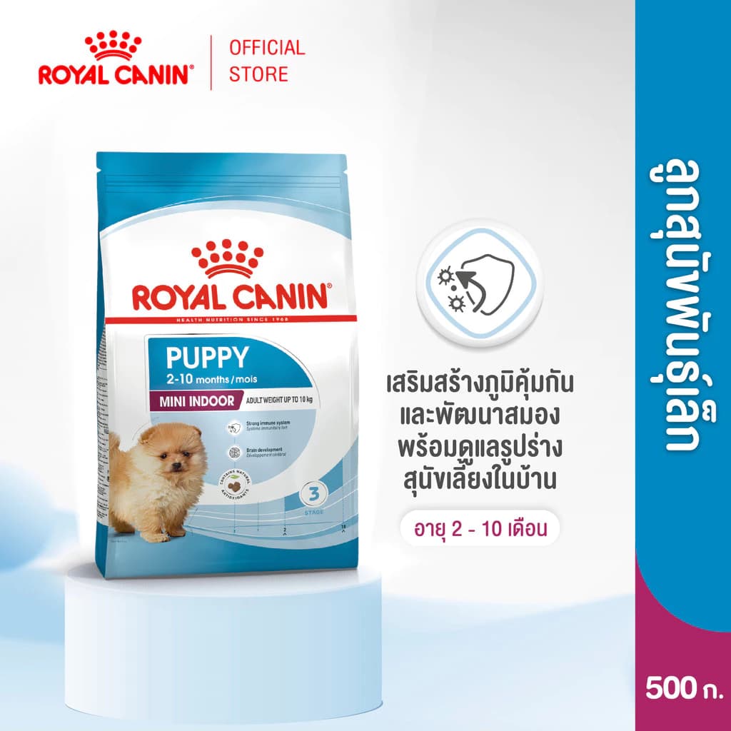 Royal Canin Mini Indoor Puppy 500g อาหารเม็ดลูกสุนัข พันธุ์เล็ก เลี้ยงในบ้าน อายุ 2-10 เดือน (Dry Dog Food, โรยัล คานิน)