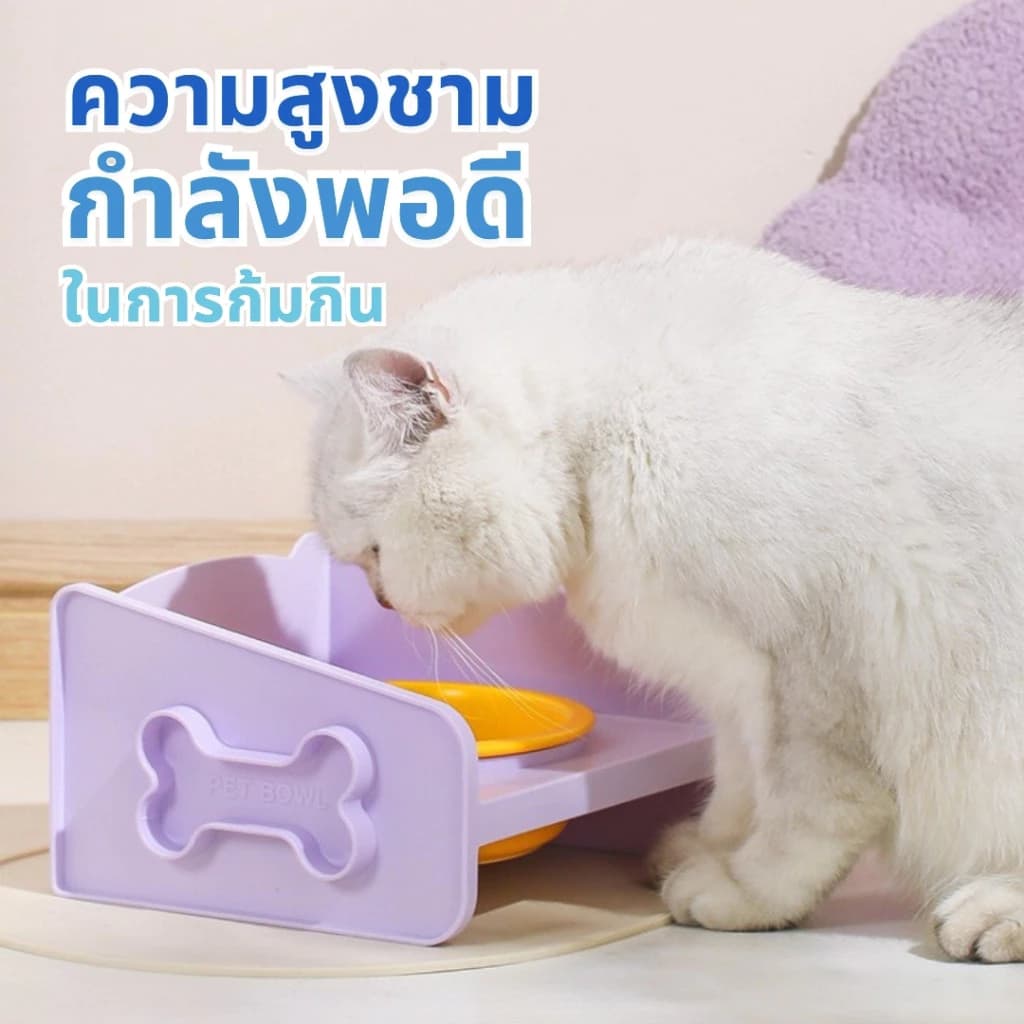 ชามเซรามิกสัตว์เลี้ยง ชามอาหารแมว ชามสุนัข ชามยกสูง