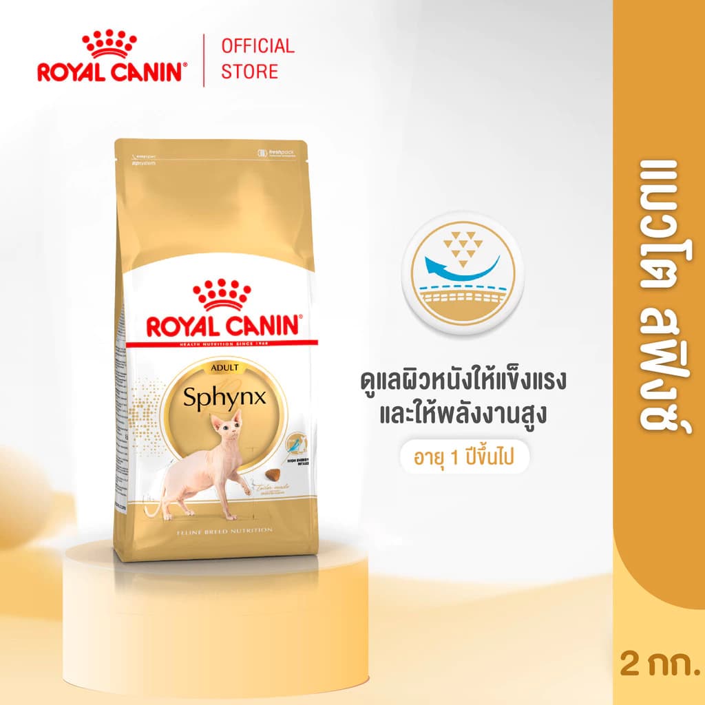 Royal Canin Sphynx Adult 2kg อาหารเม็ดแมวโต พันธุ์สฟิงซ์ อายุ 1 ปีขึ้นไป (Dry Cat Food, โรยัล คานิน)