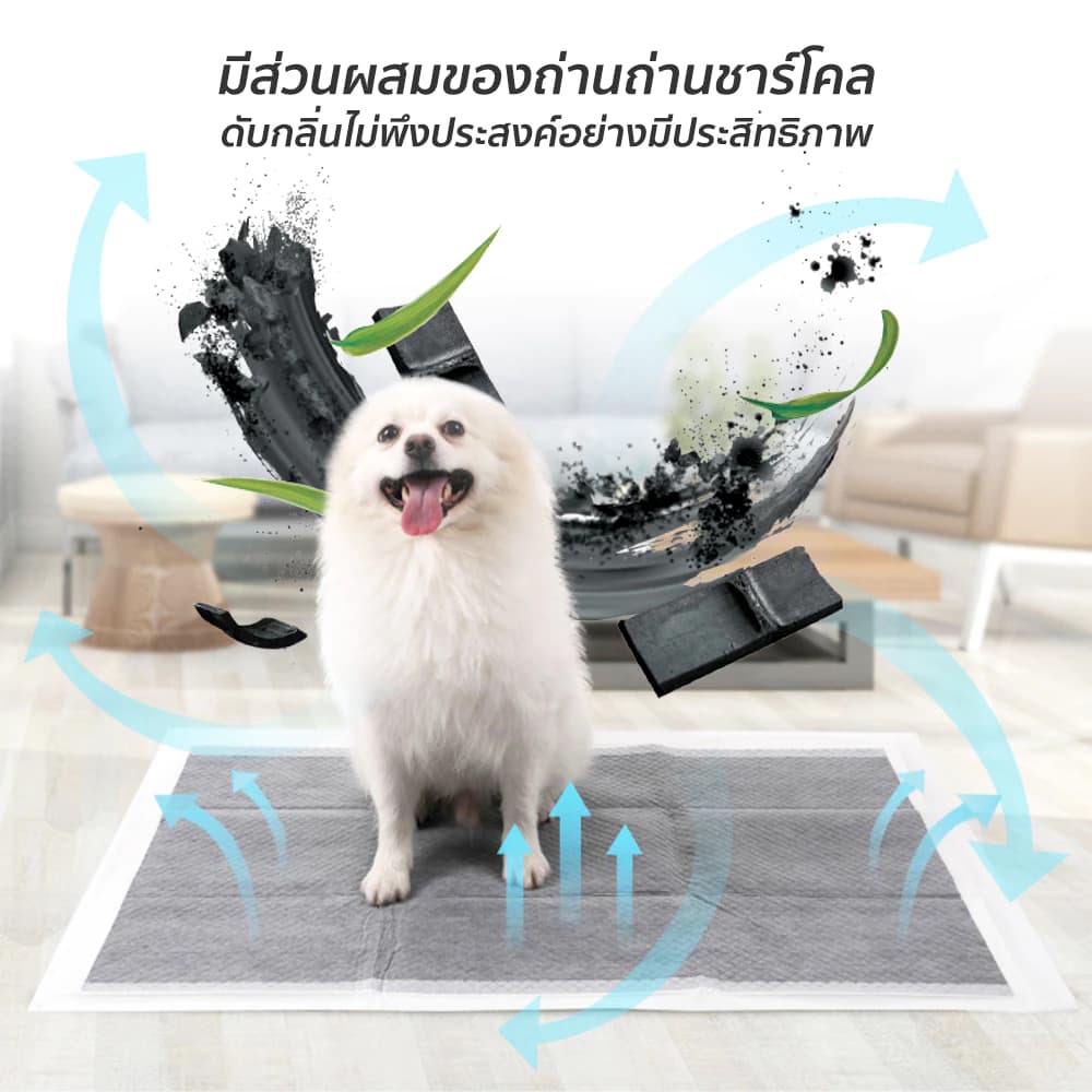  แผ่นรองฉี่สุนัข รุ่นชาโคล แผ่นรองฉี่ชาโคล แผ่นรองฉี่แมว ช่วยฝึกขับถ่าย การดูดซับน้ำ6ชั้น ระงับกลิ่นได้ดี