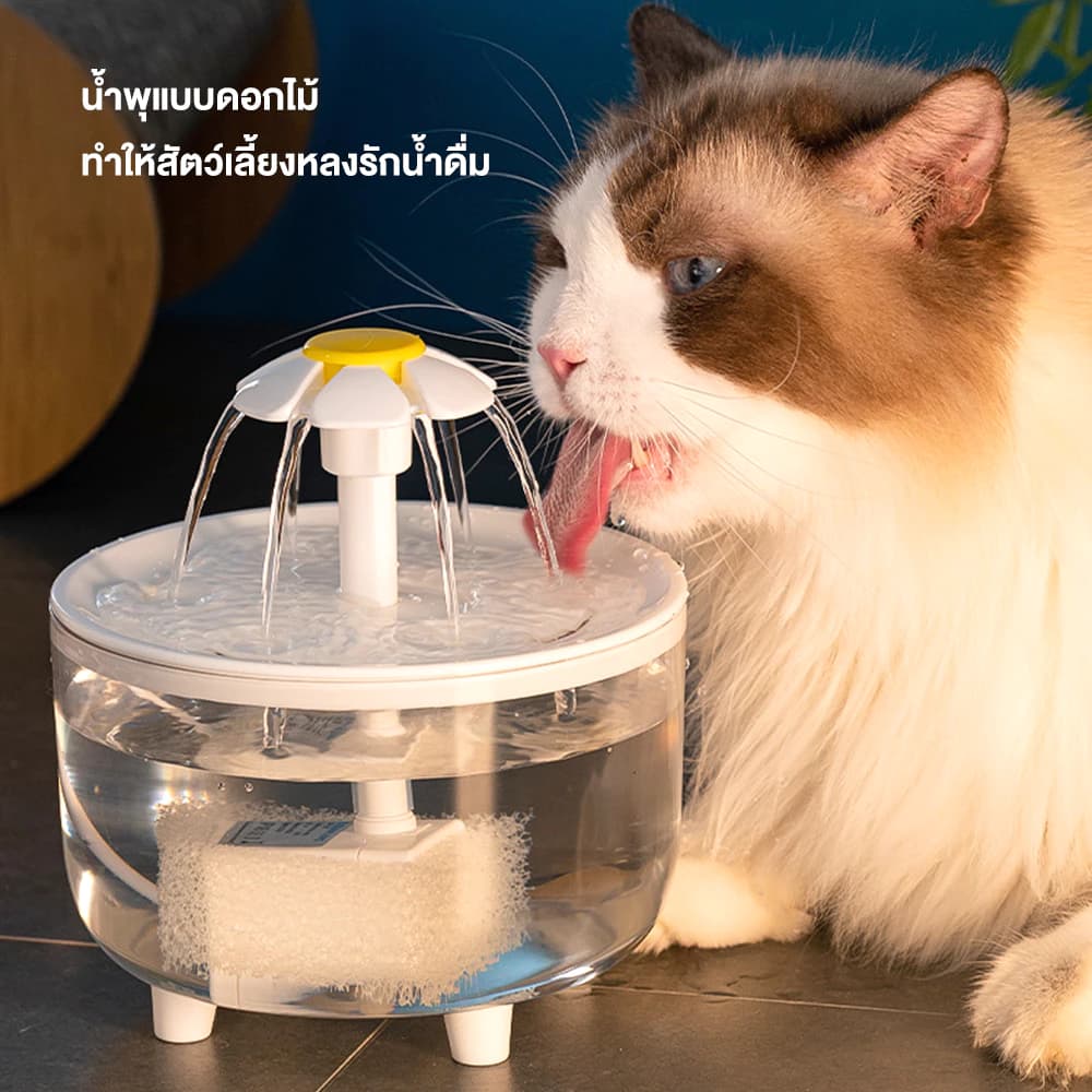 น้ำพุแมว น้ำพุแมวสัตว์เลี้ยงอัตโนมัติ น้ำดื่มเเมว ที่ให้น้ำสัตว์เลี้ยง โปร่งใส เงียบมาก