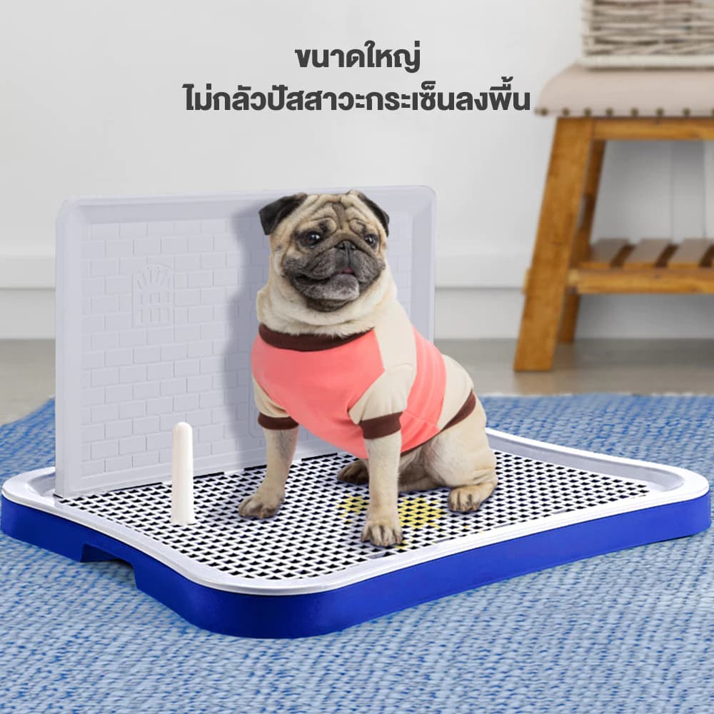 ถาดรองฉี่สุนัข 2 ชั้น เสาให้น้องเล็ง ห้องน้ำสุนัข