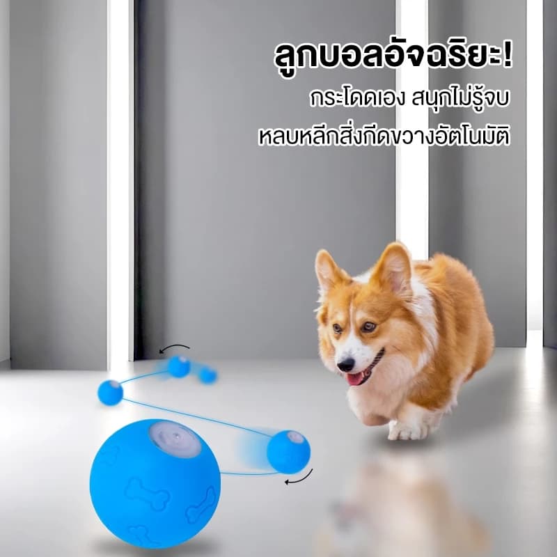 ลูกบอลไฟฟ้าอัตโนมัติฝึกสุนัข ทนต่อการกัด ช่วยขัดฟัน ของเล่นสําหรับสัตว์เลี้ยง ของเล่นสุนัข