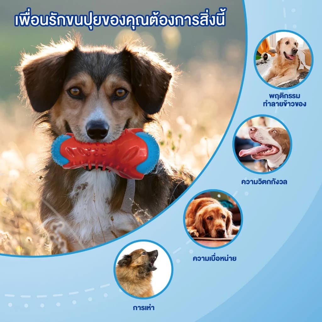 ของเล่นสัตว์เลี้ยง ของเล่นยางกัด ของเล่นให้อาหารสัตว์ ทนต่อการกัด ช่วยขัดฟัน ฝึกทักษะ ของเล่นสุนัข