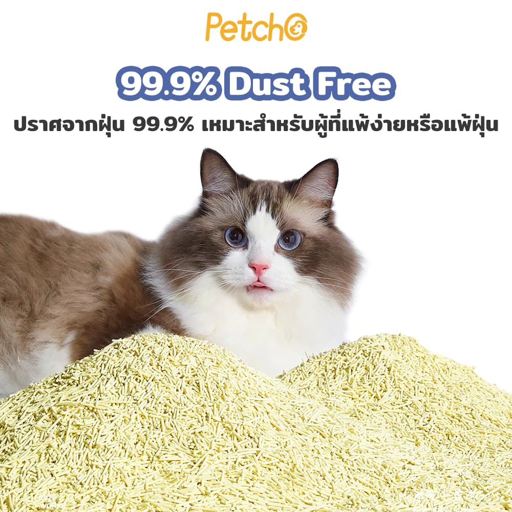 ทรายแมวเต้าหู้ เกรดพรีเมียม ขนาดอนุภาคเล็ก 1.5 มม จับตัวเป็นก้อนเร็ว ดับกลิ่นดีเยี่ยม